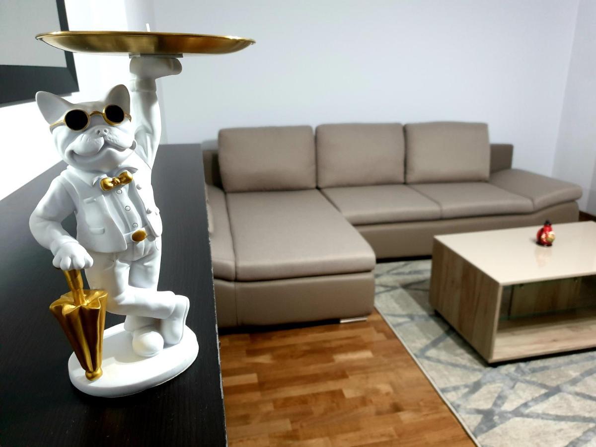 Moonrise Apartment Brasov Luaran gambar